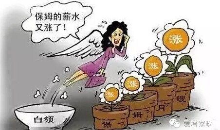 爱君家政